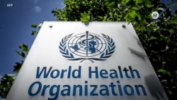 反映美国政府政策立场的视频社论: 美国重新加入世界卫生组织