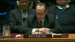 Reunión del Consejo de Seguridad de la ONU sobre Venezuela, parte 2