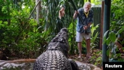 FILE - George Craig feeds the world's largest captive crocodile, Cassius, at the Marineland Melanesia on Green Island, Great Barrier Reef, Cairns, Australia, March 18, 2023. (AAP Image/Brian Cassey via Reuters)