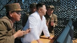 媒体观察(海涛)：朝鲜再抛橄榄枝，中国媒体报喜忧