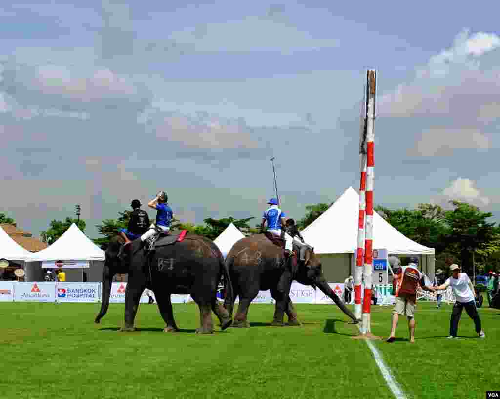 Gajah bertanding dalam turnamen polo gajah Piala Raja di provinsi Samut Prakan, pinggiran kota Bangkok (28/8). (Steve Herman/VOA).