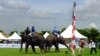 Pachyderms Play Polo to Raise Money for Elephants