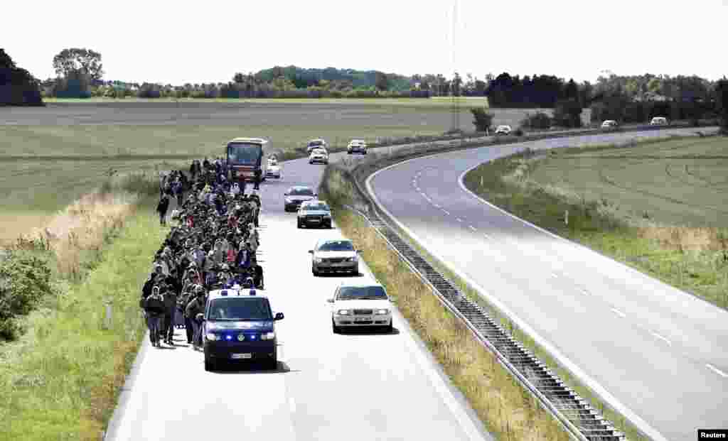 A large group of migrants, mainly from Syria, walk towards the north on a highway in Denmark, Sept. 7, 2015. The migrants intend to reach Sweden and seek asylum there.