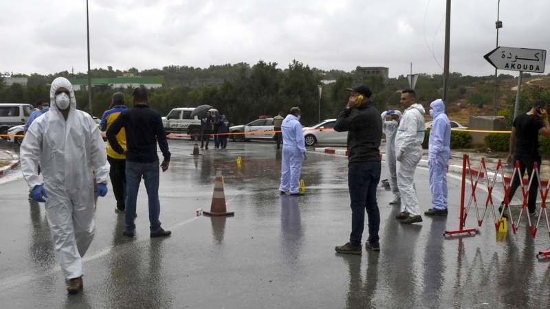 L'inquiétude monte au Maghreb après des attaques de chiens errants