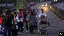 Migrants walk along the Huixtla highway hoping to reach Mexico's northern border and ultimately the United States, in Huehuetan, southern Mexico, Nov. 6, 2024. 