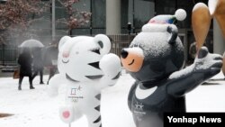 한국 서울의 눈 내린 거리에 평창올림픽 마스코트인 수호랑과 반다비가 서 있다. 