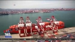 اخبار شامگاهی