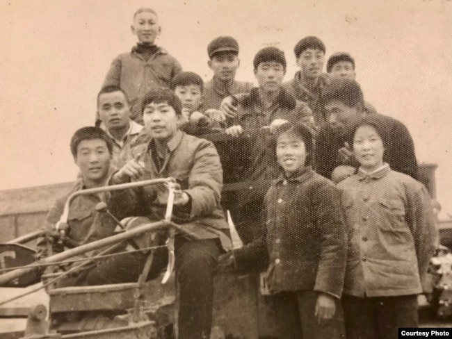 1970年代，鲁难在河南省正阳县原种场（和尚寨）务农。驾驶拖拉机者为鲁难 (鲁难提供图片）