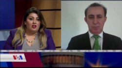 Di Hilbijratinên Dawî de 6 Kurd Ketin Parlamana Swêdî