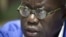 FILE - New Patriotic Party leader Nana Akufo-Addo.