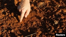 A geologist inspects the ground at a prospective Atlas Iron Limited iron ore mine site near Port Hedland, Australia (May 26, 2008 file photo).