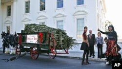 Michelle Obama with daughters Sasha and Malia and family dog Bo welcomes the arrival of the official White House Christmas tree, a 19-foot Fraser Fir from Jefferson, N.C., Nov. 23, 2012.