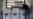Over 250,000 COVID-19 Vaccine Doses Delivered to Syria
