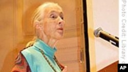 Jane Goodall