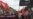 Video, Photos: VOA Reports on Competing Boston Rallies