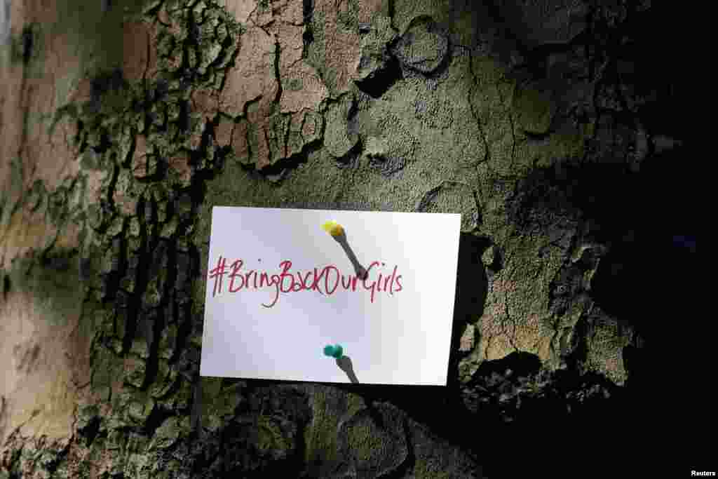 A sign is pinned to a tree during a demonstration against the kidnapping of schoolgirls in Nigeria, outside the Nigerian Embassy, in London, May 9, 2014.&nbsp;