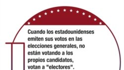 Colegio Electoral 