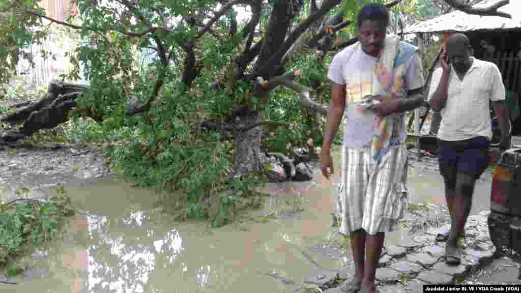Two men walk away from a flooded area in Fort-Liberté, Haiti, where a tree collapsed in the main street. Hurricane Irma continues to approach the north coast of Haiti with heavy rain and strong winds, Sept. 7, 2017.