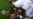Longer-term Solutions Needed for Philippines Typhoon Survivors
