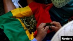 Una mujer manipula un manojo de hojas de coca sobre una bandera de Bolivia, durante la Cumbre de los Pueblos, celebrada en Santiago de Chile, el 27 de enero de 2013. El cultivo de esta planta es motivo de fricción entre Estados Unidos y Bolivia.