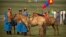 Mongolian horsemen in traditional outfits stand with their mounts before a horse racing competition during the second day of the Naadam Festival in Khui Doloon Khudag, on the outskirts of Ulaanbaatar, Mongolia, July 12, 2016. 