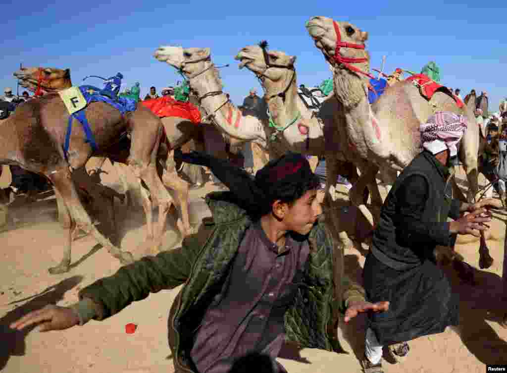 Bedouin breeders run away from camels ridden by robot jockeys during the start of the Ismailia Camel Racing Festival which is known as &quot;Sebaq Al-Hagen&quot; in Arabic, at the Sarabium desert in Ismailia, Egypt.