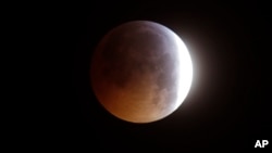 Archivo - La Luna llena es vista durante un eclipse lunar en Marsella, sur de Francia, el 21 de enero de 2019.