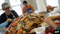 FILE - Migrant workers Maricela Sanchez (L) and Minerva Nava (R), puck crabs at Old Salty's Seafood in Hoopers Island, Maryland on Aug. 9, 2018, where there is a shortage of migrant workers.