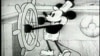 Mickey the story of a Mouse