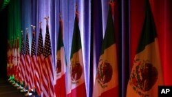 墨西哥、美國和加拿大國旗。