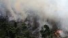 아마존 밀림 대규모 화재
