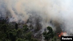 벌목꾼들이 지른 불에 타고 있는 아마존 정글. (자료사진)