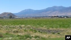 FILE - Pasture land is seen on the eastern front of the Sierra Nevada mountain range in western Neveda, Sept. 24, 2019. An earthquake and several aftershocks hit the area Friday.