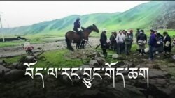 བོད་ལ་རང་བྱུང་གོད་ཆག