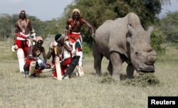 FILE - Members of the Maasai Cricket Warriors pose with the last surviving male northern white rhino named Sudan after playing in a charity tournament called the "Last Male Standing" at the Ol Pejeta Conservancy in Laikipia National Park, Kenya, June 14, 2015.