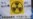 Confusion Over Radiation Levels at Japan Nuclear Plant