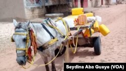 A Coki, les habitants achètent de l’eau douce pour se désaltérer, 28 août 2019. (VOA/Seydina Aba Gueye)