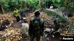 FILE - A pro-Ouattara soldier belonging to the Republican Forces of Ivory Coast (FRCI) stands near farmers breaking open cocoa pods in this file photo from May 19, 2011. The government wants to clear farmers from 231 forest preserves.