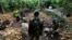 A pro-Ouattara soldier belonging to the Republican Forces of Ivory Coast (FRCI) stands near farmers breaking open cocoa pods in this file photo from May 19, 2011. The government wants to clear farmers from 231 forest preserves.