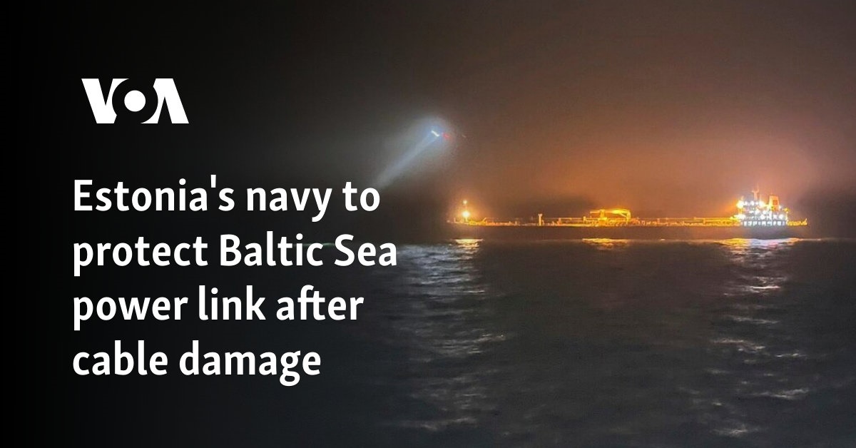 Estonia Deploys Navy to Protect Power Cable