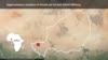 Militer AS Pastikan Tiga Tentara Tewas di Niger