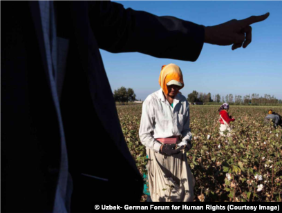 Haqiqiy ogil bolalar porno yalangoch Lera Vulvaning foto galereyasi