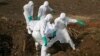 Small Percentage of Ebola Patients Found Responsible for Most Cases in Epidemic