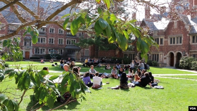 Yale University campus in New Haven, Connecticut, 2017