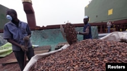 Workers gather bags of cocoa at the port of Abidjan. EU-registered vessels have been barred from all new financial dealings with Ivory Coast's two main cocoa-exporting ports, 17 Jan 2011.