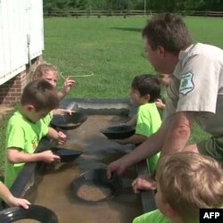 Birləşmiş Ştatlarda qızıl axtarışına maraq artır (video)