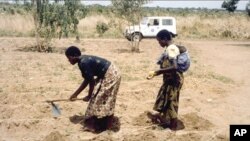 Perempuan Malawi dengan anak di punggungnya bekerja di ladang (foto: dok). Ibu hamil dan wanita yang sedang menyusui yang terinfeksi AIDS di negara itu menerima pengobatan seumur hidup.