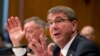Bộ trưởng Quốc phòng Mỹ tỏ ý ủng hộ dỡ bỏ cấm vận vũ khí đối với VN