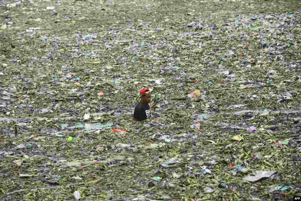 A man collects recyclable materials from the floating garbage at the Manila Baywalk, washed ashore after tropical storm Nida passed through northern Philippines.