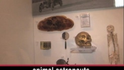 At Medical Museum, a Body of Knowledge